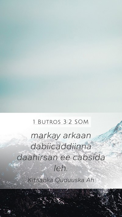 1 Butros 3:2 SOM Mobile Phone Wallpaper - markay arkaan dabiicaddiinna daahirsan ee cabsida - Mobile Bible Verse Wallpaper