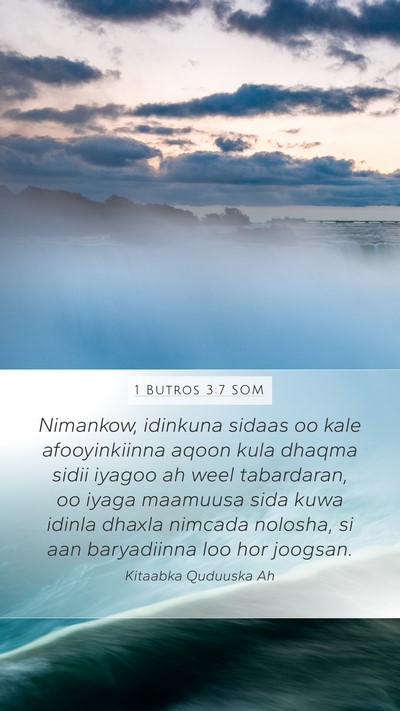 1 Butros 3:7 SOM Bible Verse Image