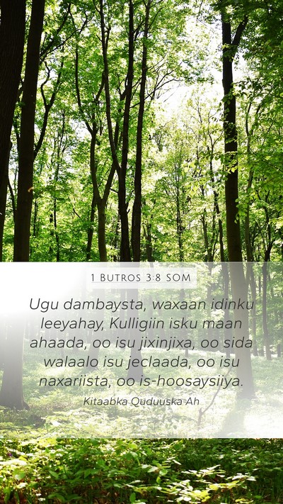 1 Butros 3:8 SOM Bible Verse Image