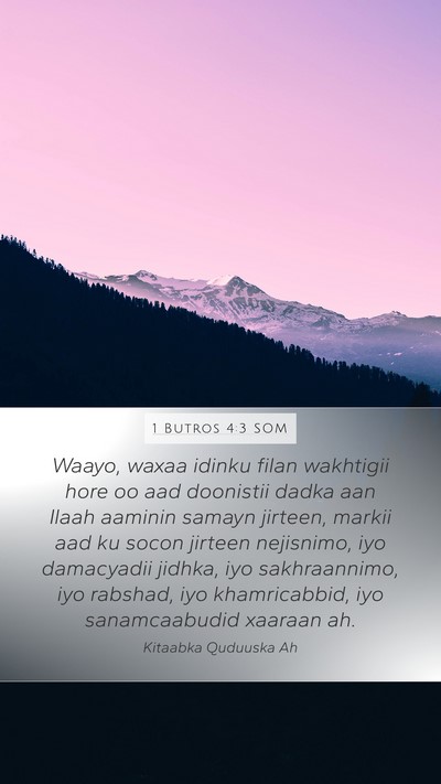1 Butros 4:3 SOM Bible Verse Image