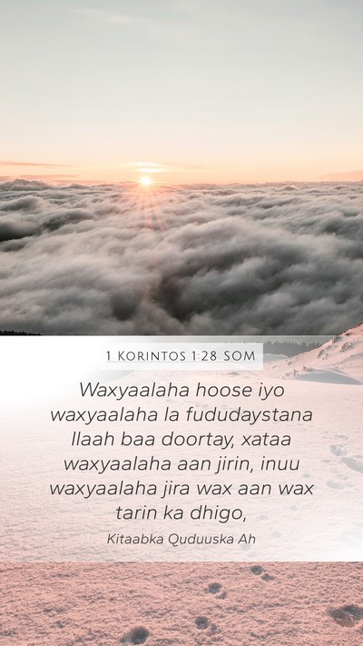 1 Korintos 1:28 SOM Bible Verse Image