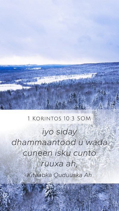 1 Korintos 10:3 SOM Bible Verse Image