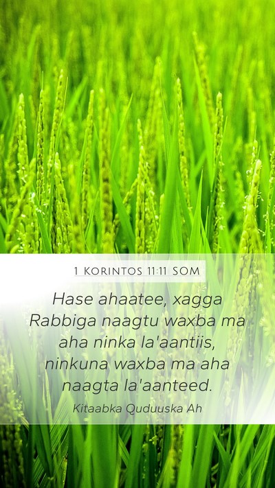 1 Korintos 11:11 SOM Bible Verse Image