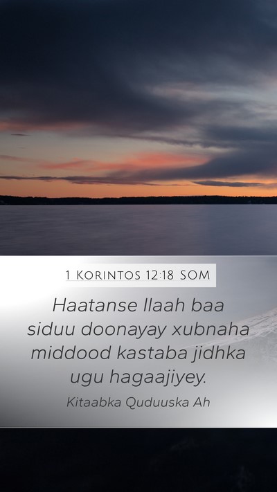 1 Korintos 12:18 SOM Bible Verse Image