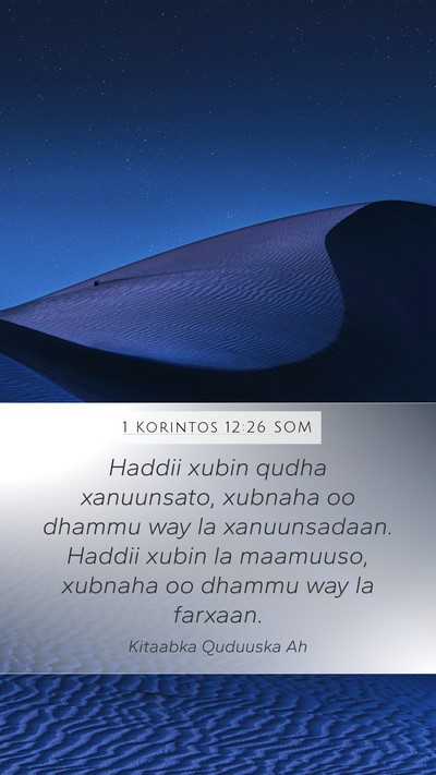 1 Korintos 12:26 SOM Bible Verse Image