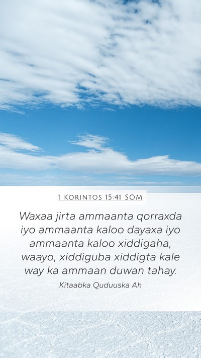 1 Korintos 15:41 SOM Bible Verse Image