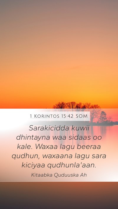 1 Korintos 15:42 SOM Bible Verse Image