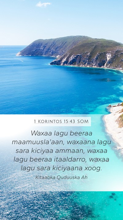 1 Korintos 15:43 SOM Bible Verse Image
