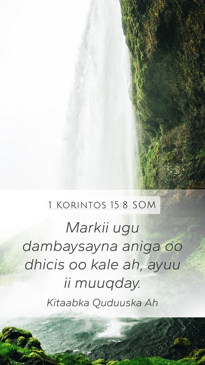 1 Korintos 15:8 SOM Bible Verse Image