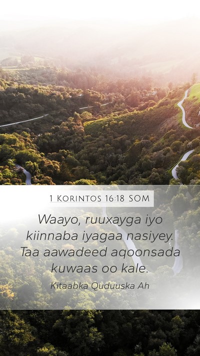 1 Korintos 16:18 SOM Bible Verse Image