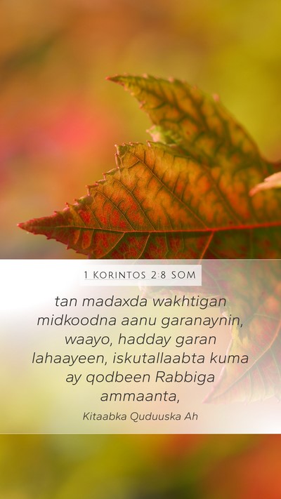 1 Korintos 2:8 SOM Bible Verse Image