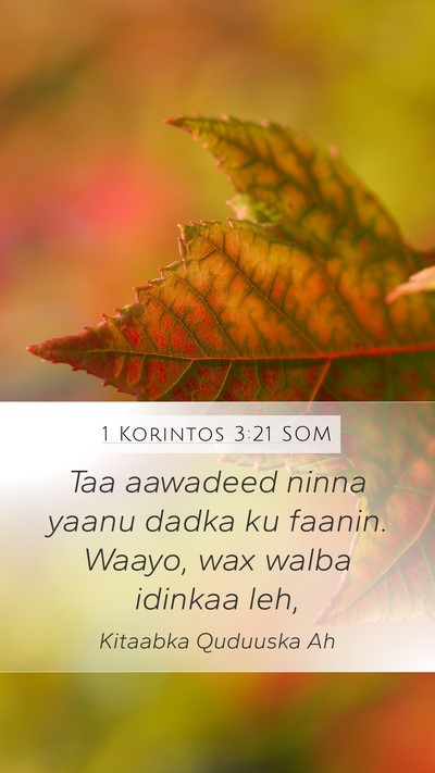 1 Korintos 3:21 SOM Bible Verse Image
