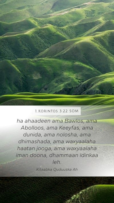1 Korintos 3:22 SOM Bible Verse Image