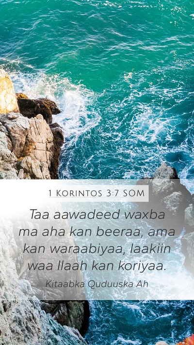 1 Korintos 3:7 SOM Bible Verse Image