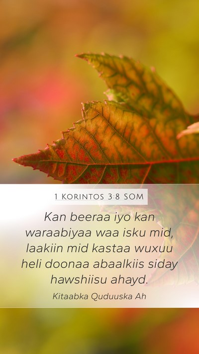 1 Korintos 3:8 SOM Bible Verse Image