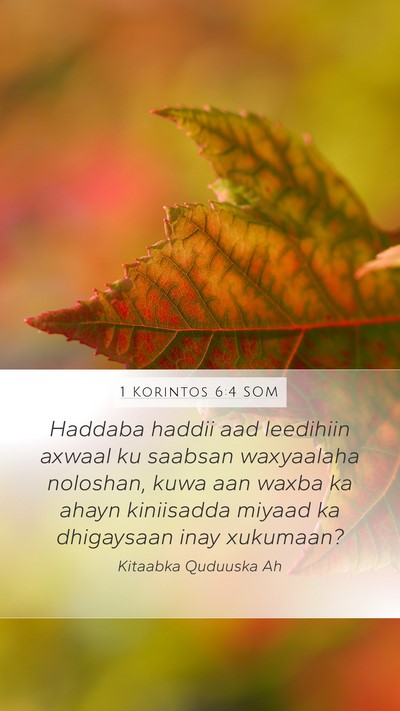 1 Korintos 6:4 SOM Bible Verse Image