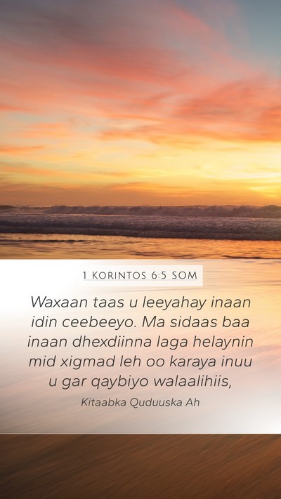 1 Korintos 6:5 SOM Bible Verse Image