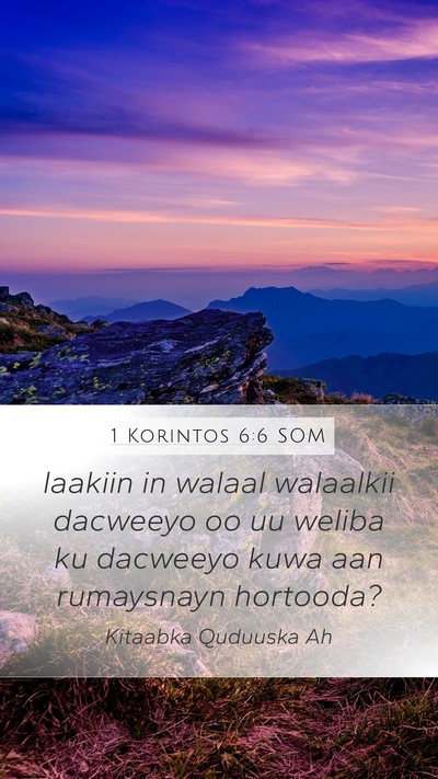 1 Korintos 6:6 SOM Bible Verse Image