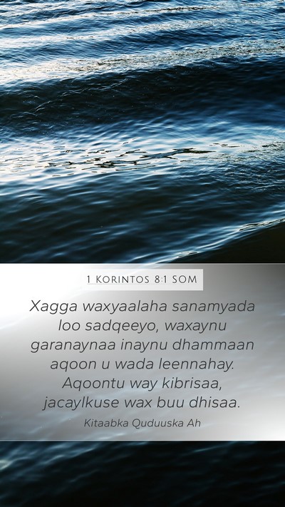 1 Korintos 8:1 SOM Bible Verse Image