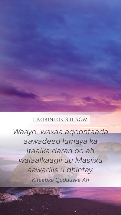1 Korintos 8:11 SOM Bible Verse Image