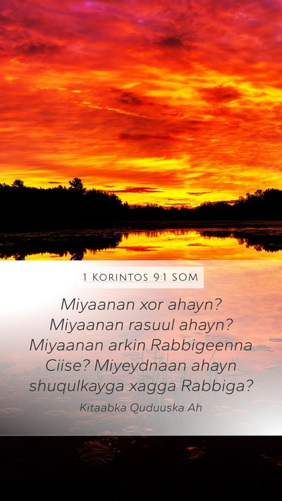 1 Korintos 9:1 SOM Bible Verse Image