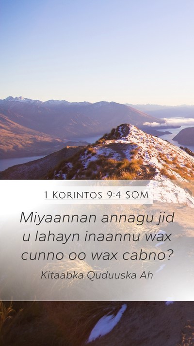 1 Korintos 9:4 SOM Bible Verse Image