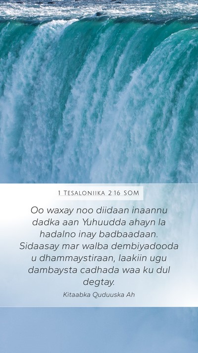 1 Tesaloniika 2:16 SOM Bible Verse Image