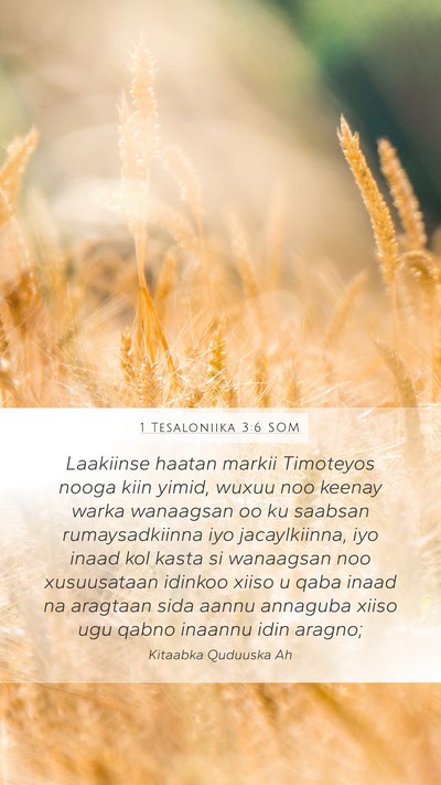 1 Tesaloniika 3:6 SOM Bible Verse Image