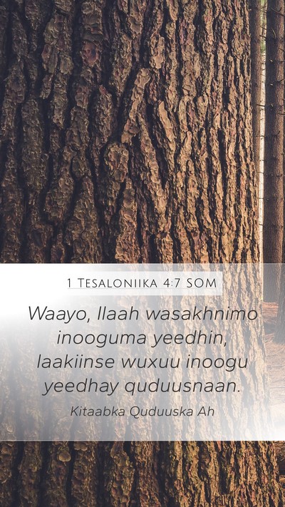 1 Tesaloniika 4:7 SOM Bible Verse Image