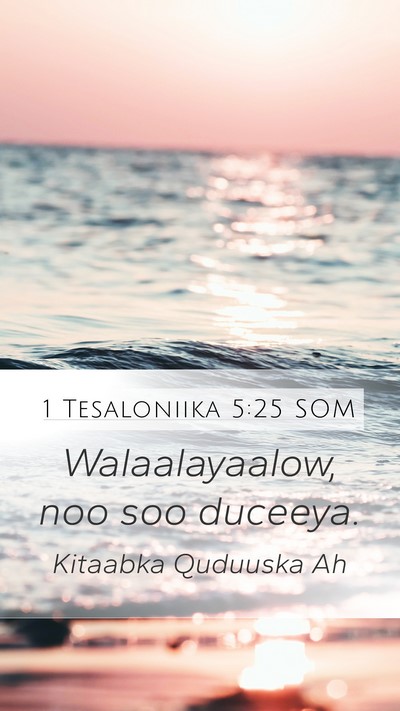 1 Tesaloniika 5:25 SOM Bible Verse Image