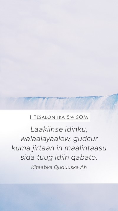 1 Tesaloniika 5:4 SOM Bible Verse Image