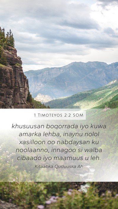1 Timoteyos 2:2 SOM Bible Verse Image