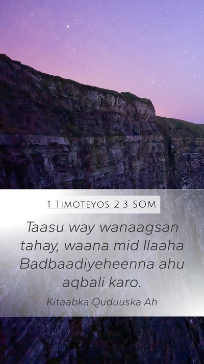 1 Timoteyos 2:3 SOM Bible Verse Image