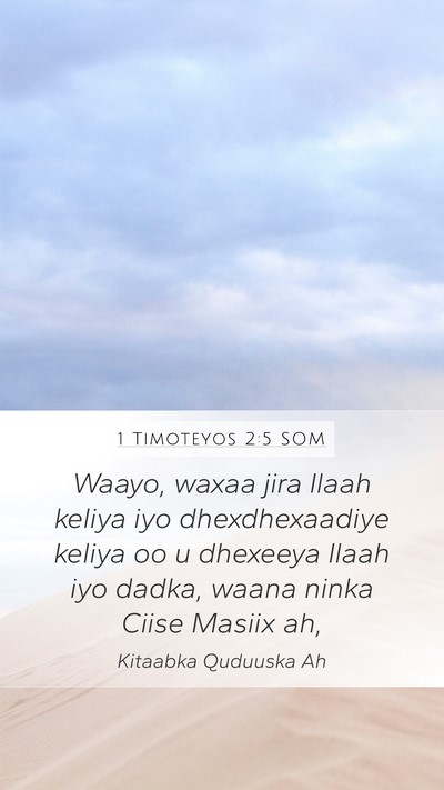 1 Timoteyos 2:5 SOM Bible Verse Image