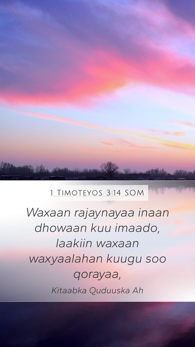 1 Timoteyos 3:14 SOM Mobile Phone Wallpaper - Waxaan rajaynayaa inaan dhowaan kuu imaado, - Mobile Bible Verse Wallpaper
