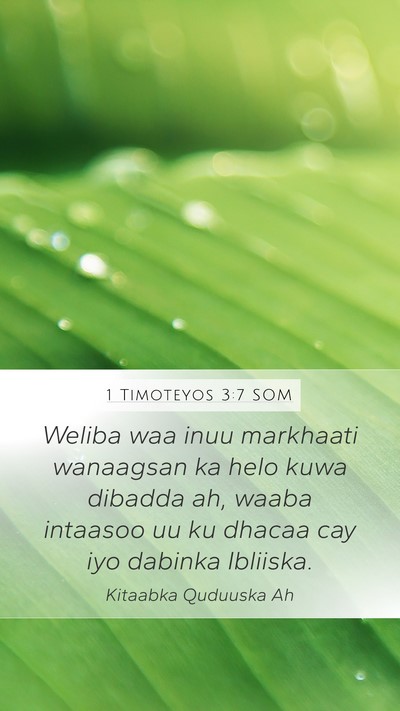 1 Timoteyos 3:7 SOM Bible Verse Image