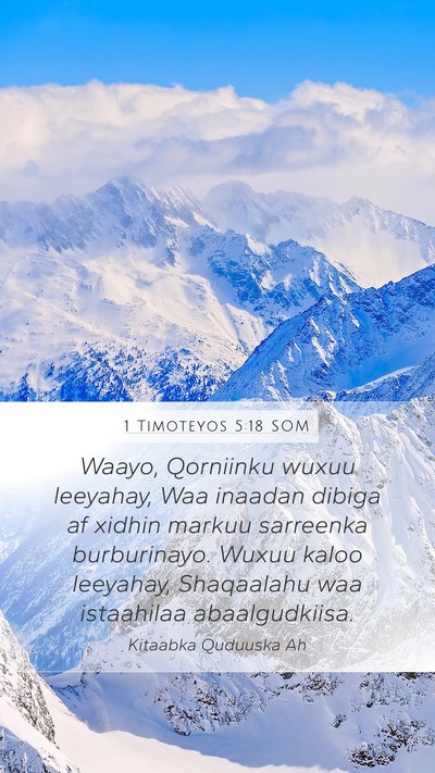 1 Timoteyos 5:18 SOM Bible Verse Image