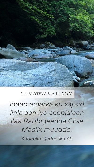 1 Timoteyos 6:14 SOM Mobile Phone Wallpaper - inaad amarka ku xajisid iinla'aan iyo ceebla'aan - Mobile Bible Verse Wallpaper
