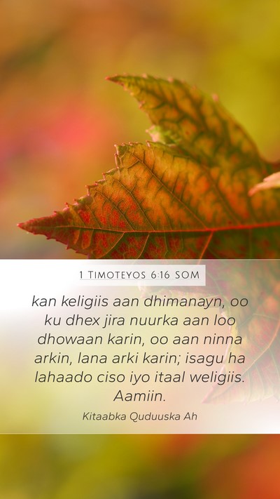 1 Timoteyos 6:16 SOM Bible Verse Image