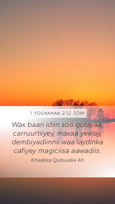 1 Yooxanaa 2:12 SOM Bible Verse Image