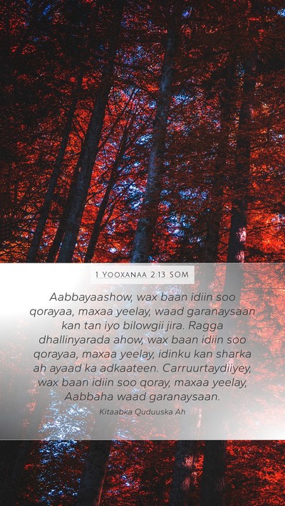 1 Yooxanaa 2:13 SOM Bible Verse Image