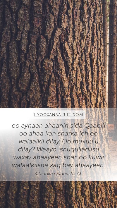 1 Yooxanaa 3:12 SOM Bible Verse Image