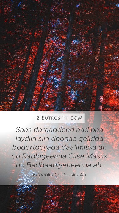 2 Butros 1:11 SOM Mobile Phone Wallpaper - Saas daraaddeed aad baa laydiin siin doonaa - Mobile Bible Verse Wallpaper