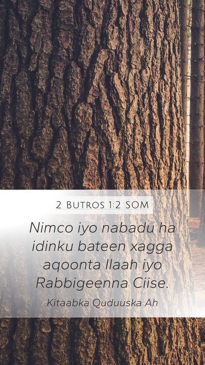 2 Butros 1:2 SOM Bible Verse Image