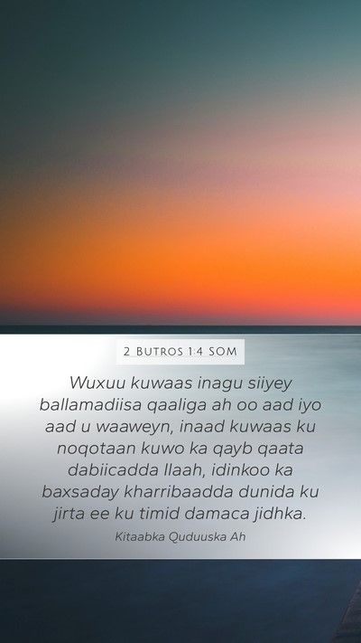 2 Butros 1:4 SOM Bible Verse Image