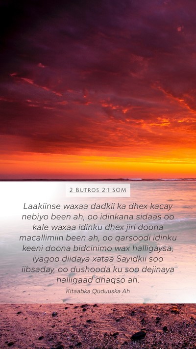 2 Butros 2:1 SOM Bible Verse Image