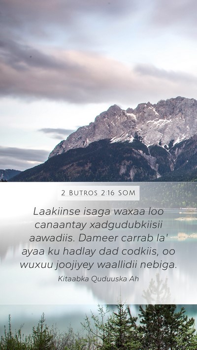 2 Butros 2:16 SOM Bible Verse Image