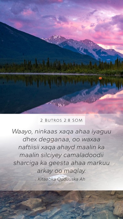 2 Butros 2:8 SOM Mobile Phone Wallpaper - Waayo, ninkaas xaqa ahaa iyaguu dhex degganaa, oo - Mobile Bible Verse Wallpaper