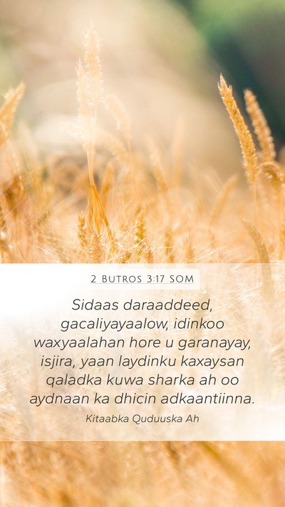 2 Butros 3:17 SOM Bible Verse Image