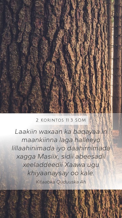 2 Korintos 11:3 SOM Bible Verse Image